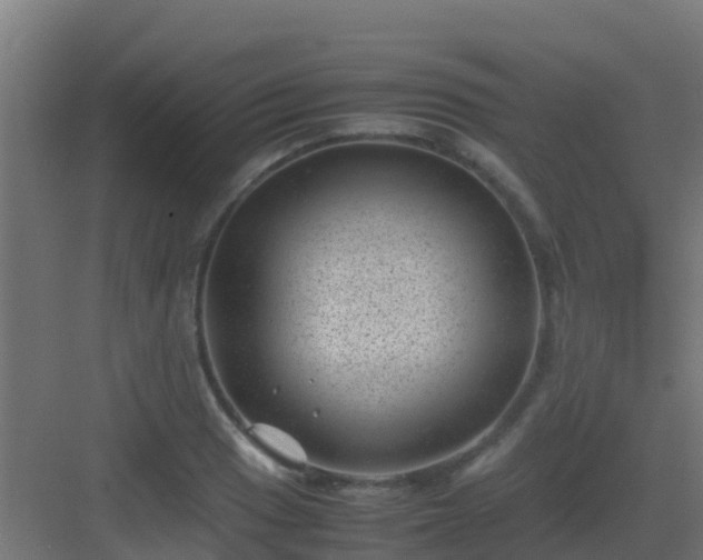 X0000082991033200702081829