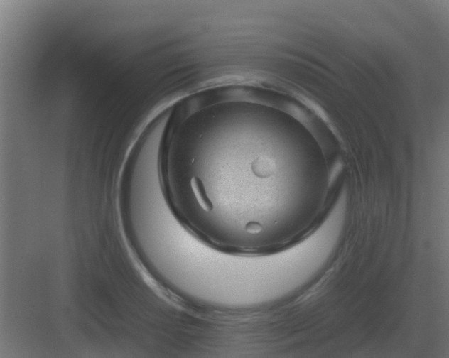 X0000082991034200702081829