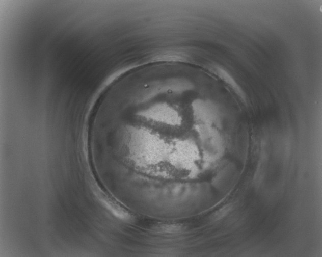 X0000082991035200702081829