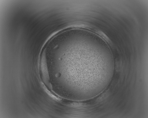 X0000082991036200702081829