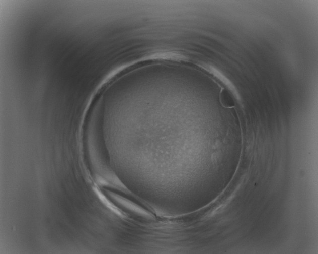 X0000082991037200702081829