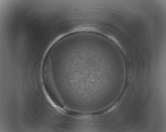 X0000082991038200702081829