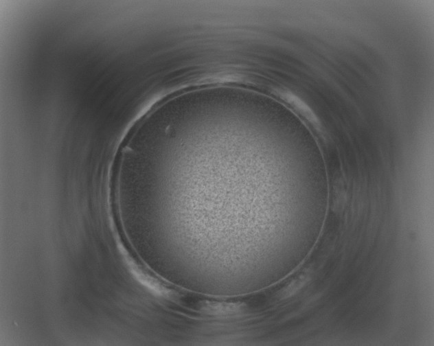 X0000082991039200702081829