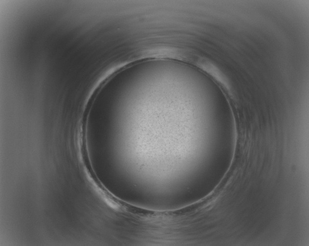 X0000082991040200702081829