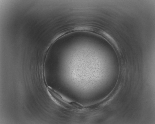 X0000082991041200702081829