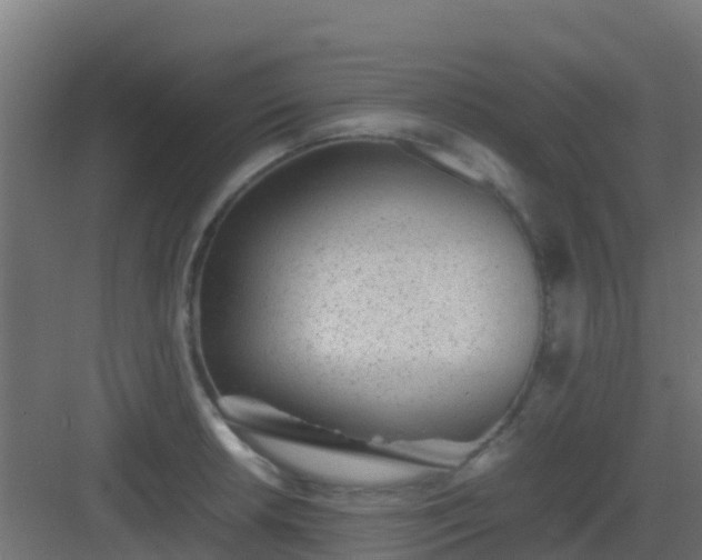 X0000082991042200702081829