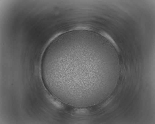 X0000082991043200702081829