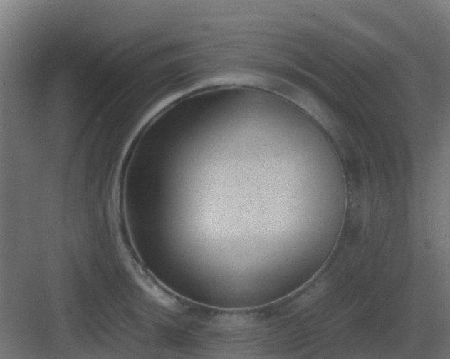 X0000082991044200702081829