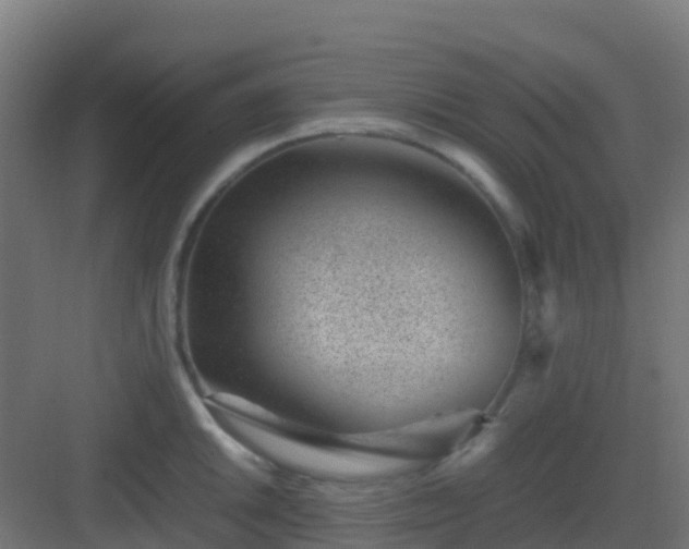 X0000082991046200702081829