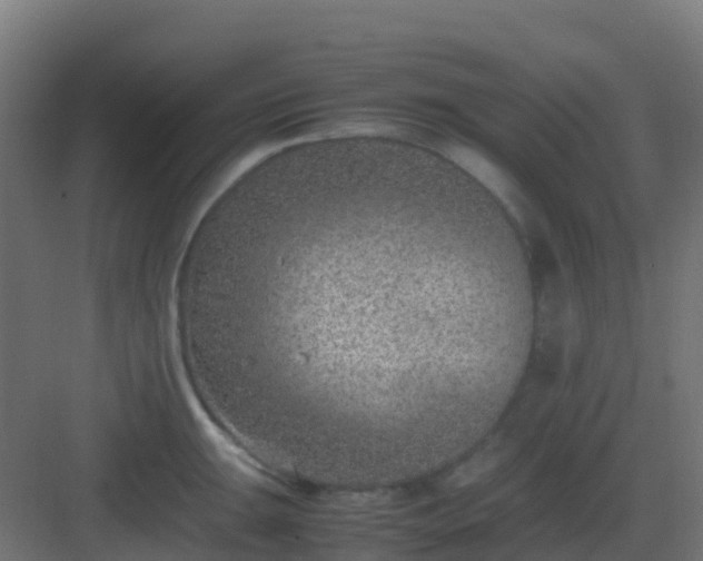 X0000082991047200702081829