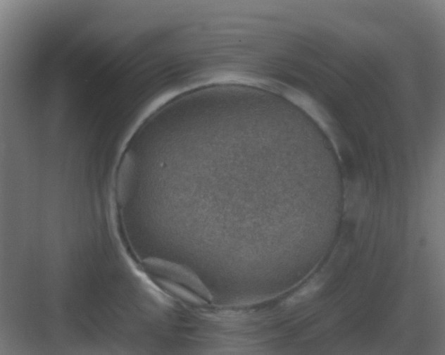 X0000082991048200702081829