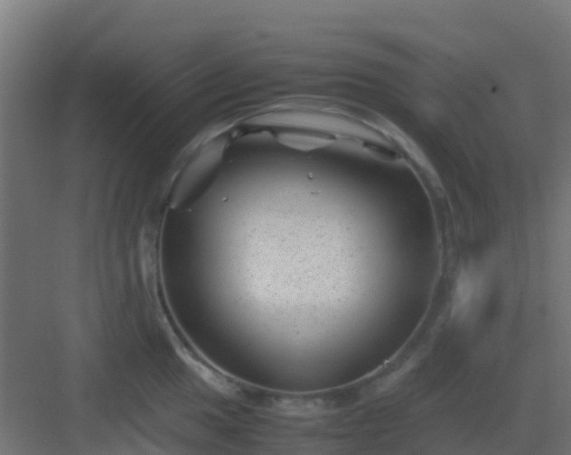 X0000082991049200702081829