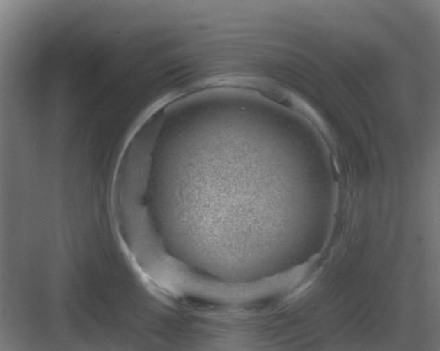 X0000082991050200702081829