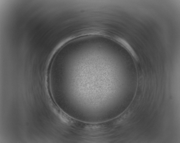 X0000082991051200702081829