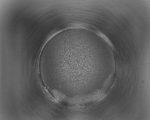 X0000082991052200702081829