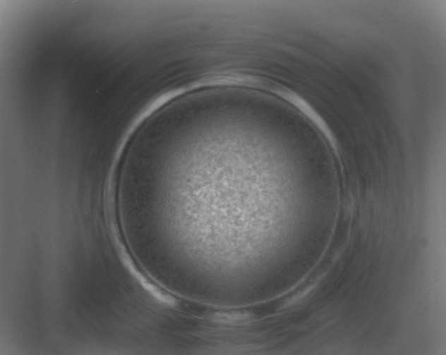 X0000082991053200702081829