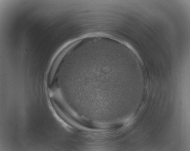 X0000082991054200702081829