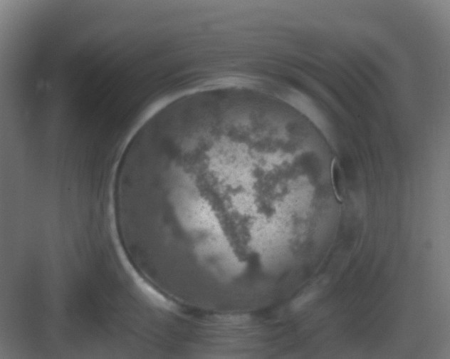 X0000082991055200702081829