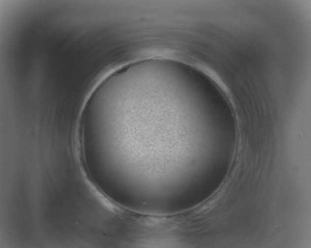 X0000082991056200702081829