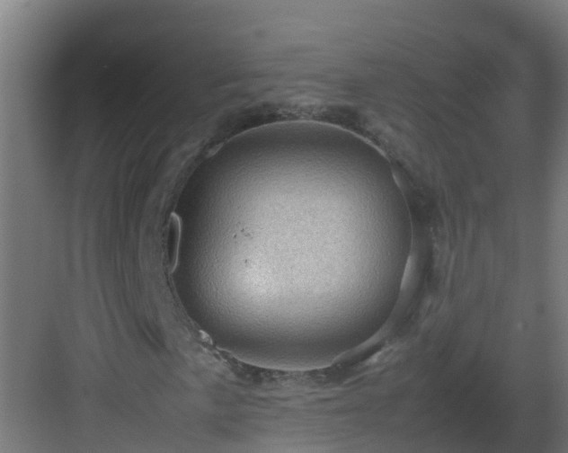 X0000082991057200702081828