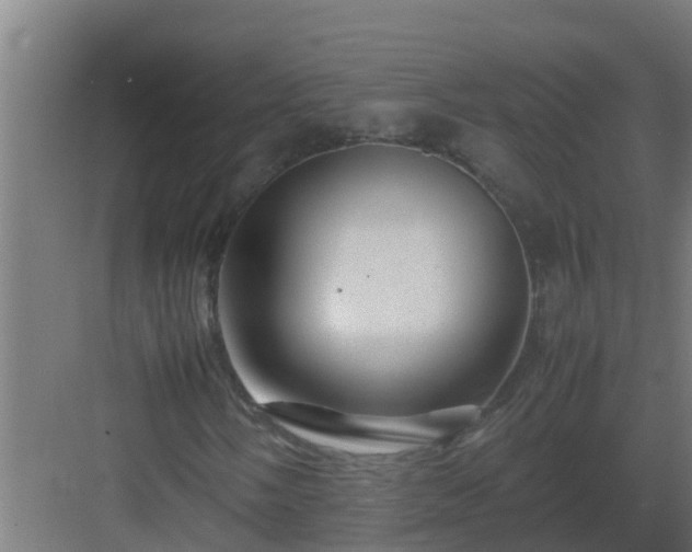 X0000082991058200702081828