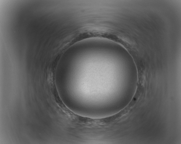 X0000082991061200702081828