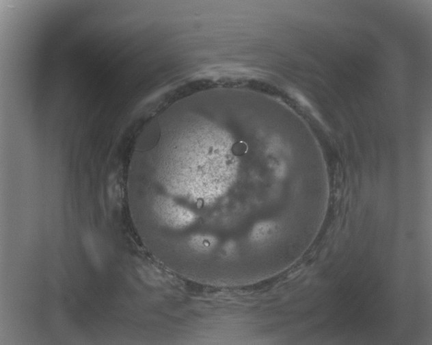 X0000082991063200702081828