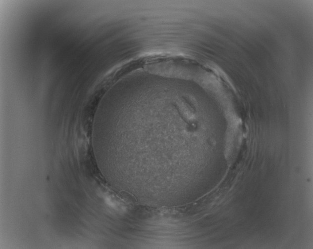 X0000082991064200702081828