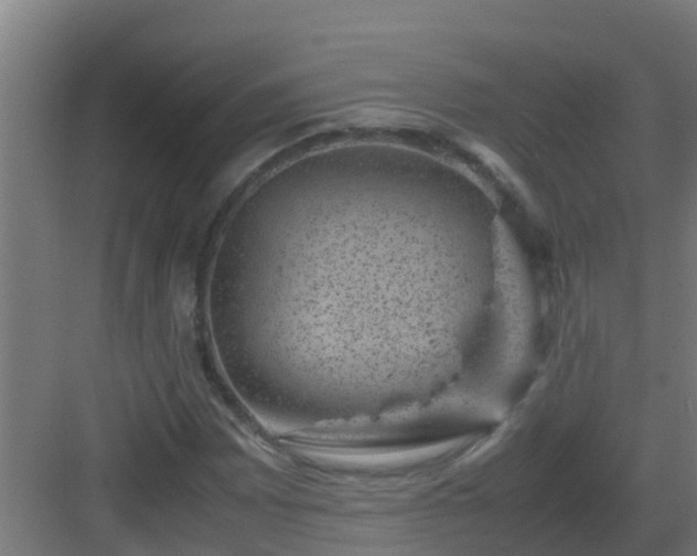 X0000082991065200702081828