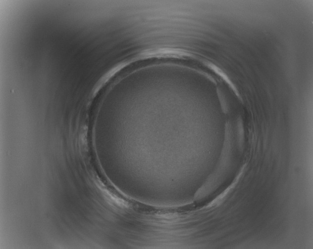 X0000082991066200702081828