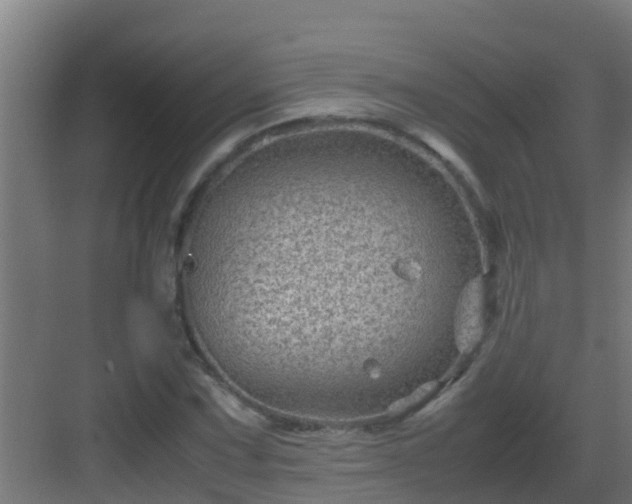 X0000082991067200702081828