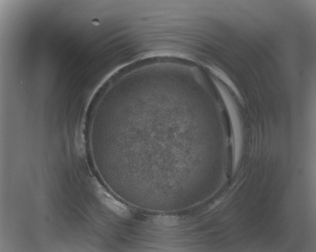 X0000082991068200702081828