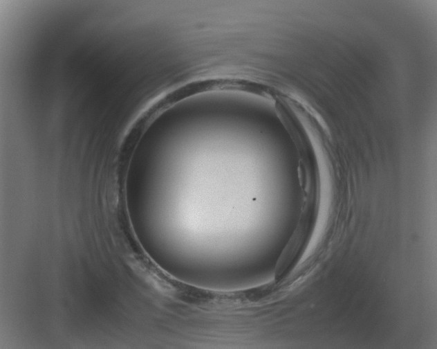 X0000082991069200702081828