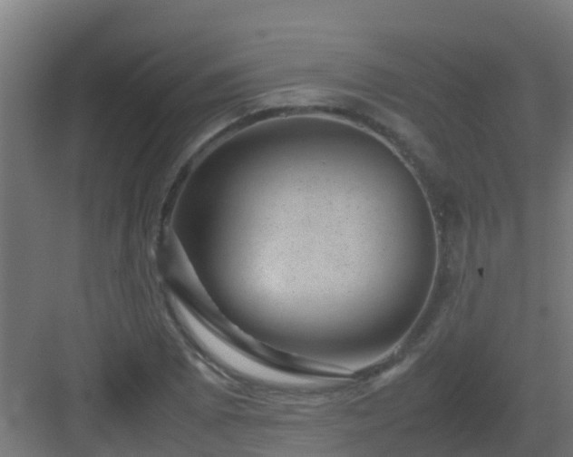 X0000082991073200702081828