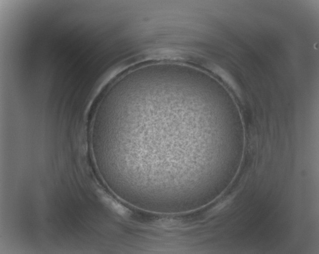 X0000082991075200702081828