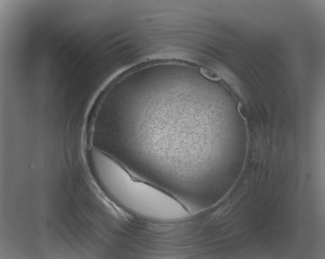 X0000082991076200702081828