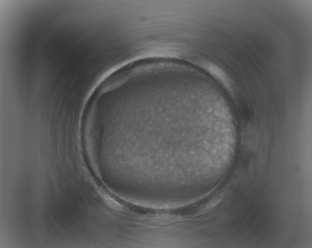 X0000082991077200702081828