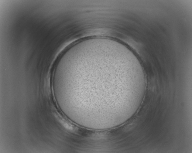 X0000082991078200702081828