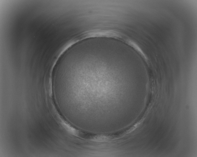 X0000082991079200702081828