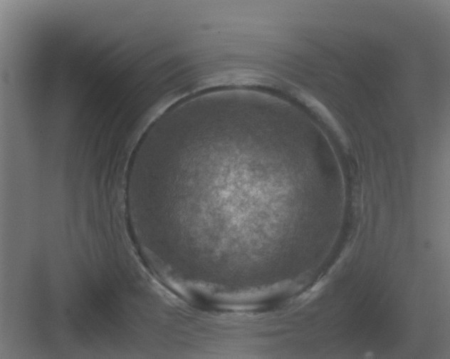 X0000082991081200702081828