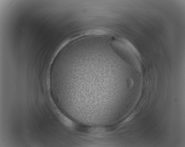 X0000082991083200702081828