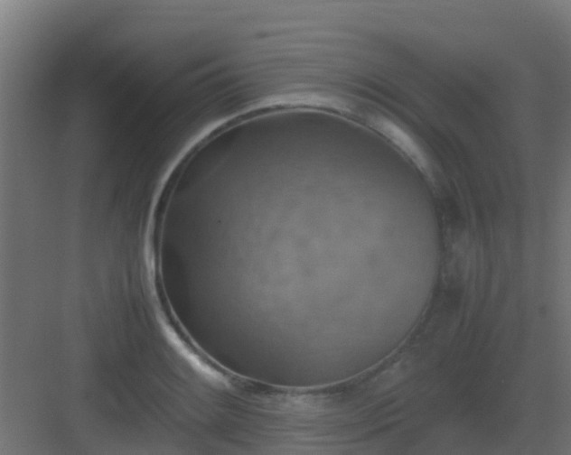 X0000082991084200702081828