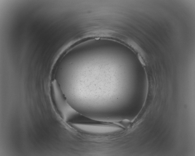 X0000082991085200702081828