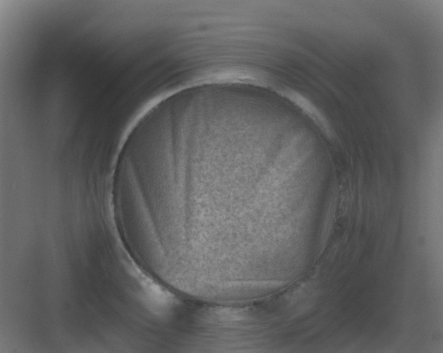 X0000082991086200702081828