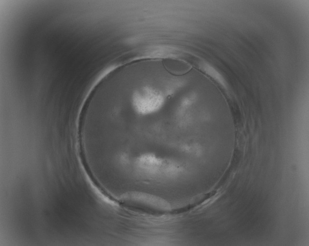 X0000082991087200702081828