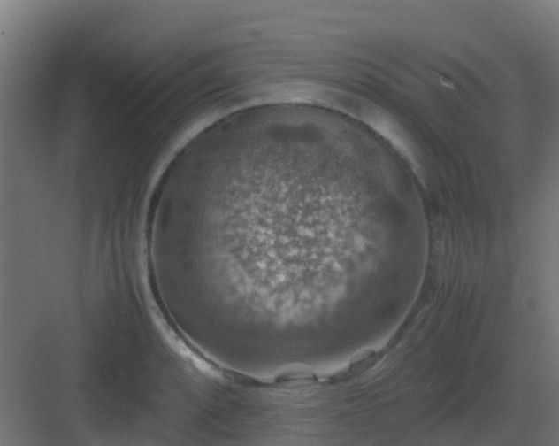 X0000082991088200702081828