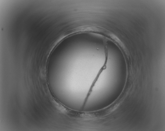 X0000082991089200702081828