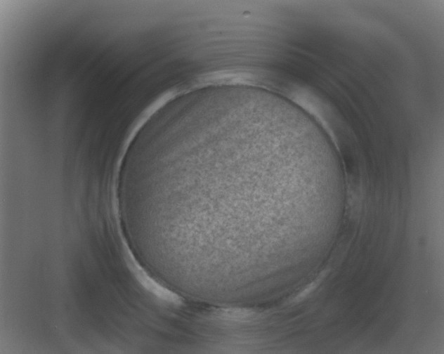 X0000082991090200702081828