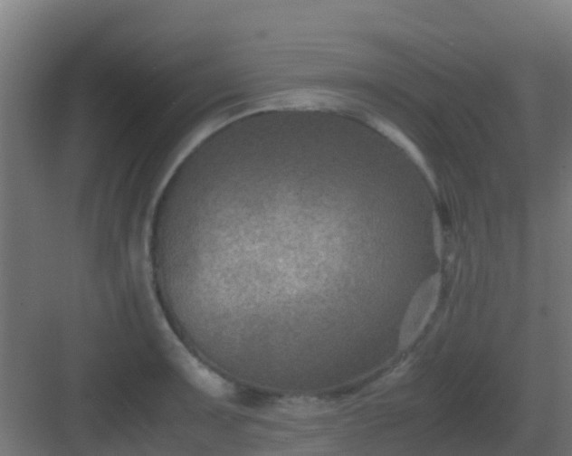 X0000082991091200702081828