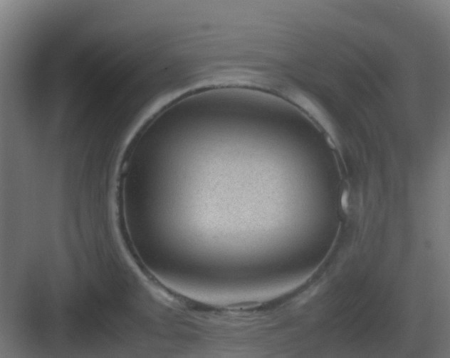 X0000082991093200702081828